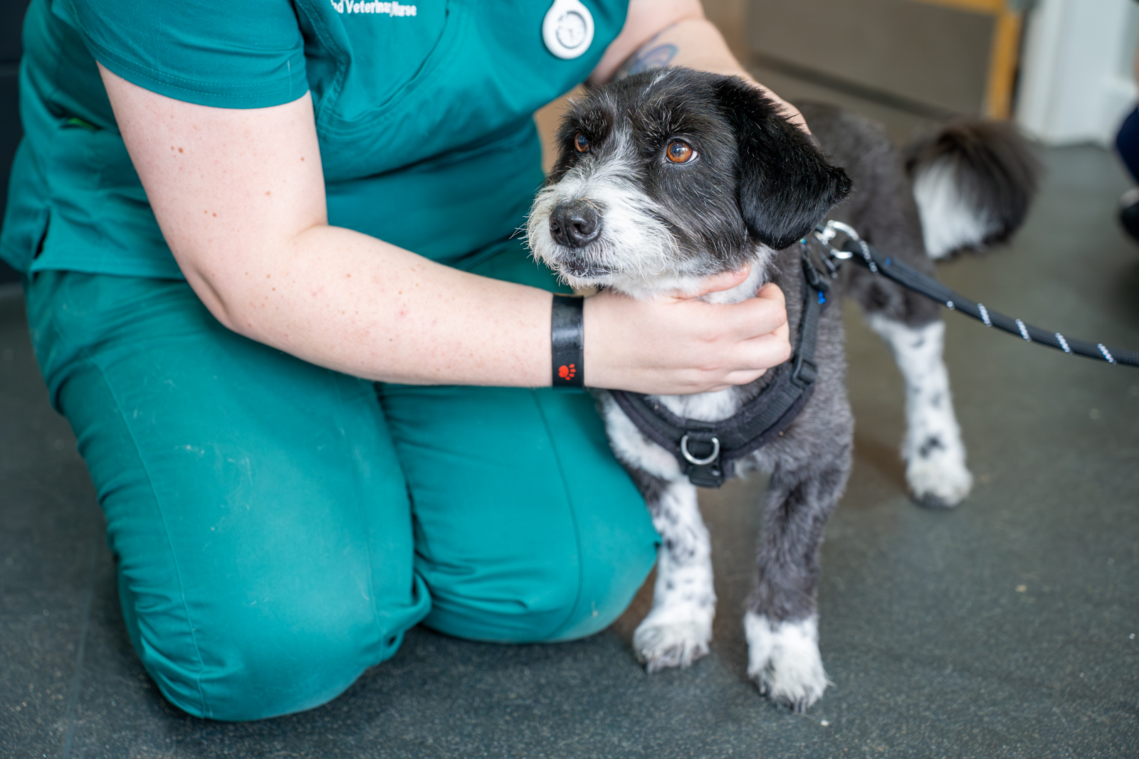 Village Vets (Web) 048